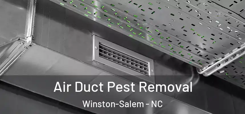 Air Duct Pest Removal Winston-Salem - NC