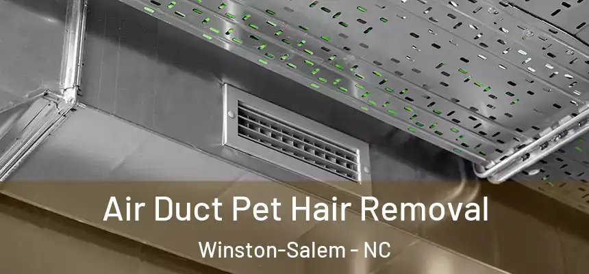 Air Duct Pet Hair Removal Winston-Salem - NC