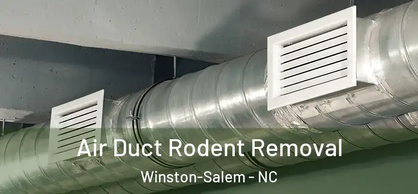 Air Duct Rodent Removal Winston-Salem - NC