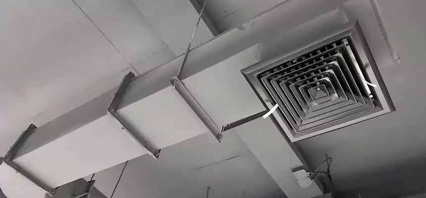 Our Pest Removal From Ducts Services in Winston-Salem, NC