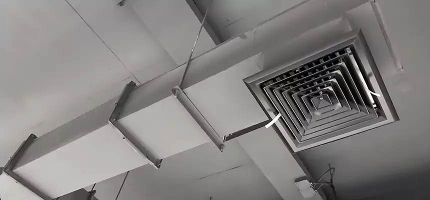 Our Rodent Droppings In Vents Services in Winston-Salem, NC