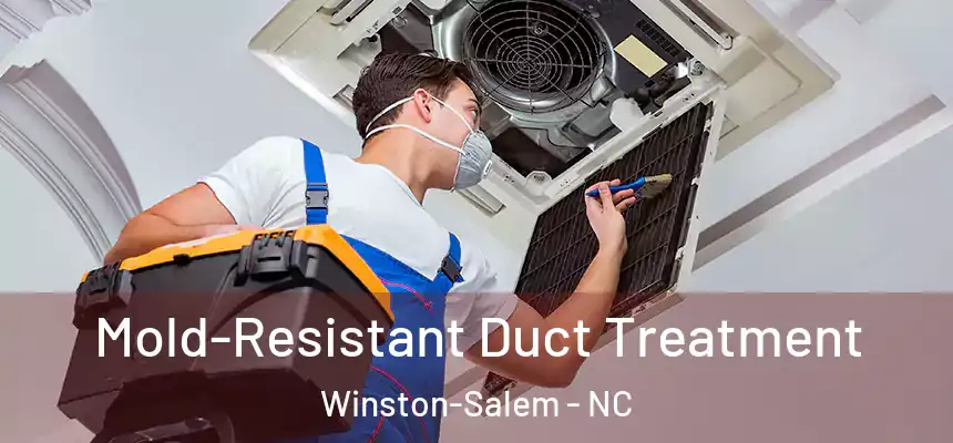 Mold-Resistant Duct Treatment Winston-Salem - NC