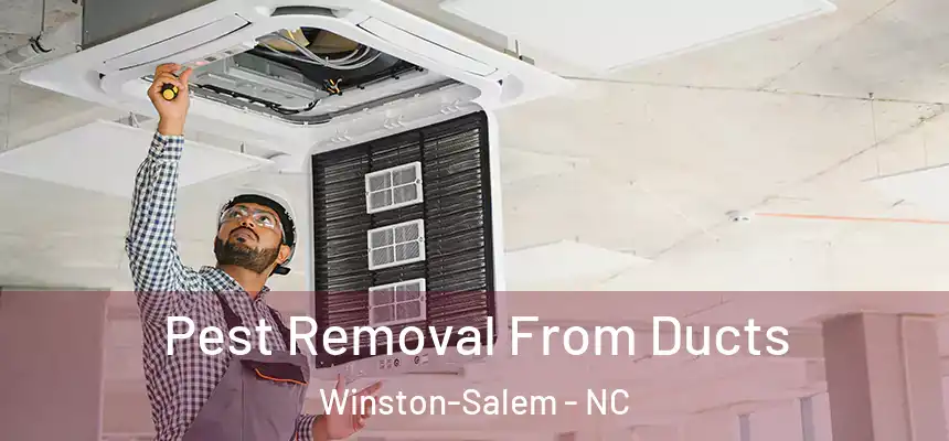 Pest Removal From Ducts Winston-Salem - NC