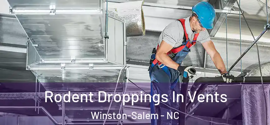 Rodent Droppings In Vents Winston-Salem - NC