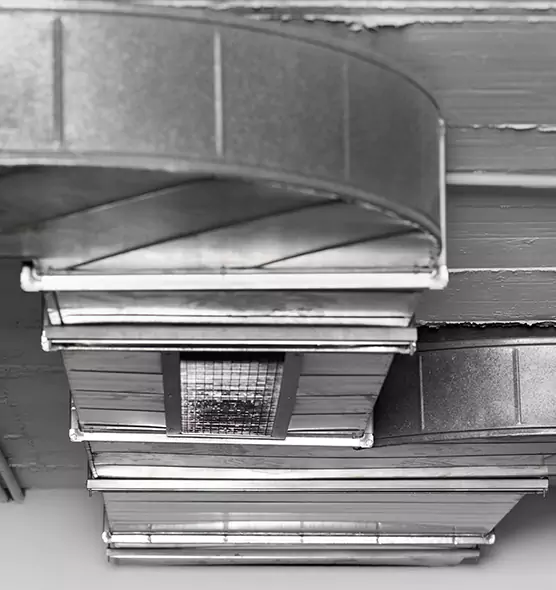 Professional Air Duct Pest Removal in Winston-Salem, NC