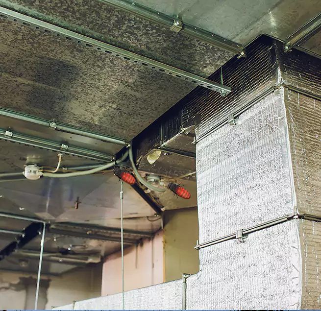 Why Homeowners & Businesses Trust Us in Winston-Salem, NC?