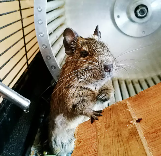 Why Homeowners & Businesses Trust Us Winston-Salem, NC